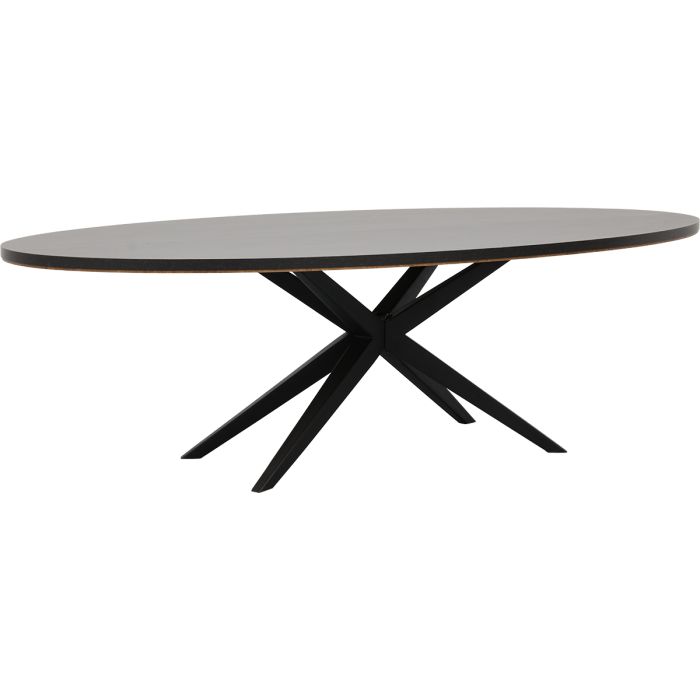 Eettafel Julian ovaal 250x128
