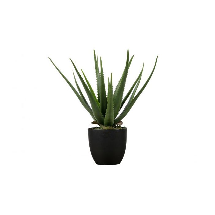 Kunstplant Aloë Vera groen 55 cm (S-model)