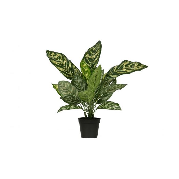 Aglaonema kunstplant groen 50cm (S-model)