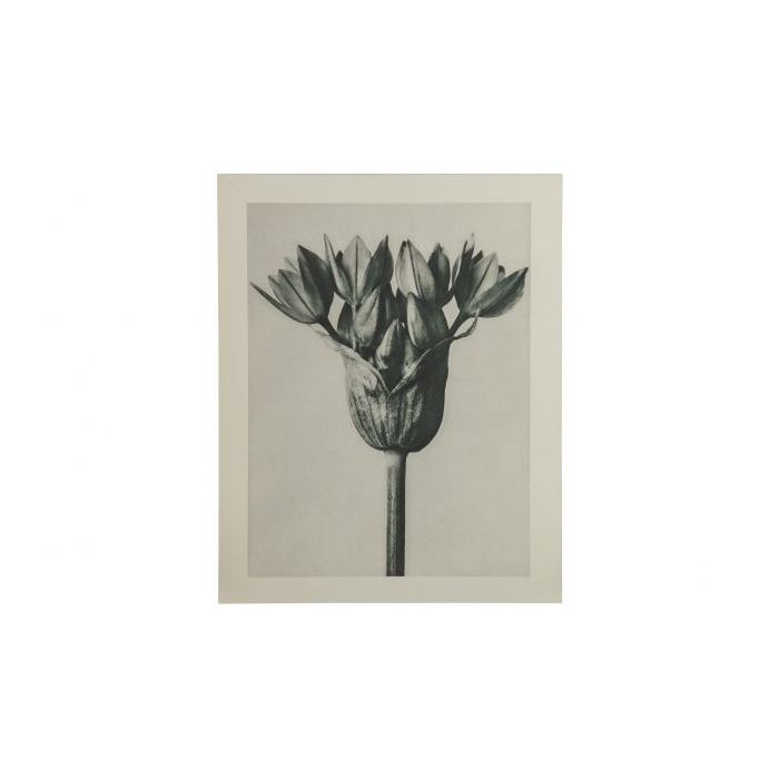 Artwork plantstudie 94 grijs/beige S-MODEL