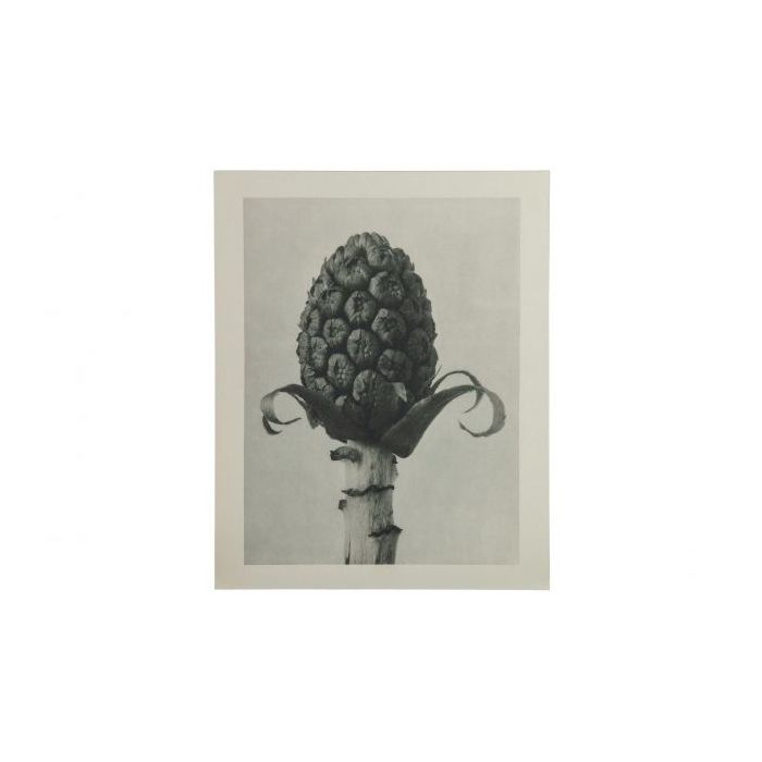 Artwork plantstudie 60 grijs/beige S-MODEL