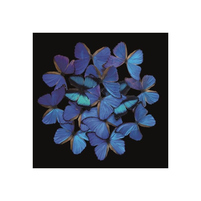 Alu Art Butterfly