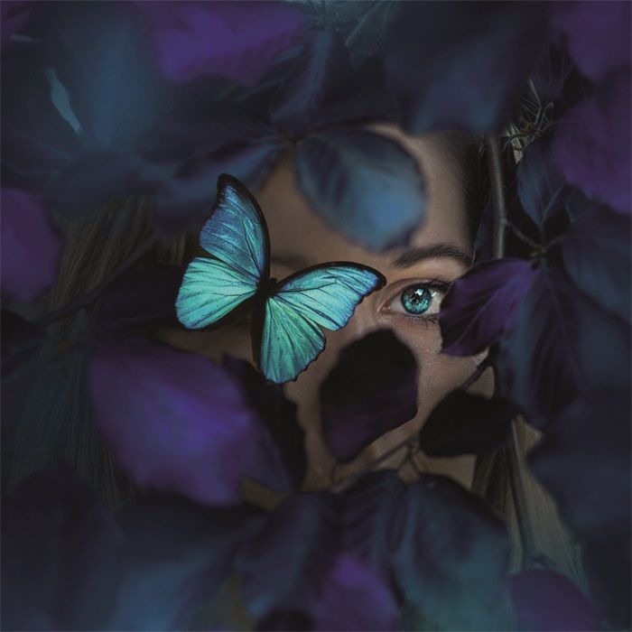 Alu Art Eye
