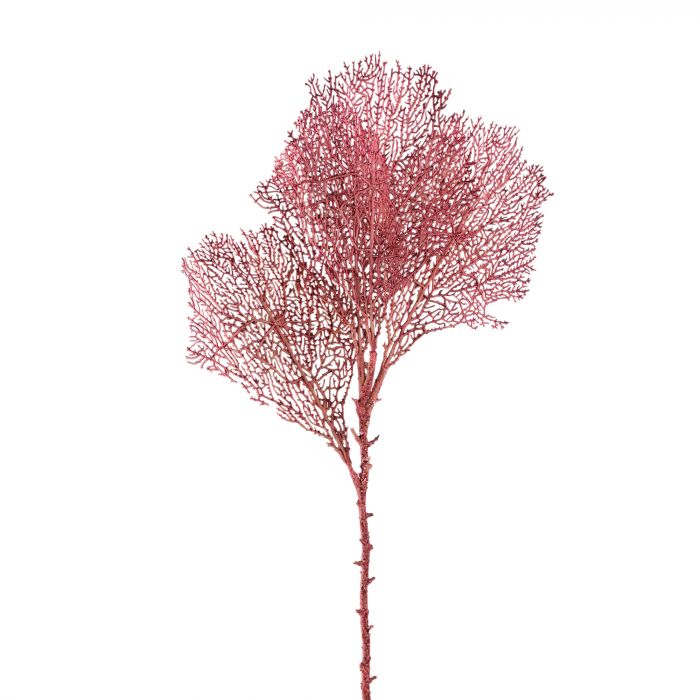 Siertak koraal roze