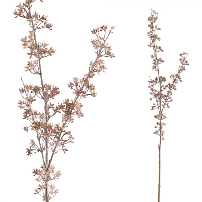 Twig Plant Roze osmanthustak