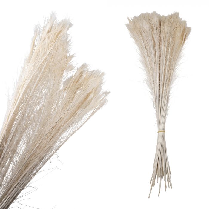 Dried Flower white peacock feather