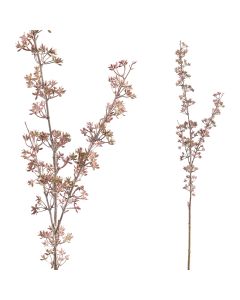 Twig Plant Roze osmanthustak