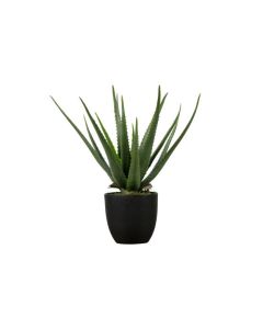 Kunstplant Aloë Vera groen 55 cm (S-model)