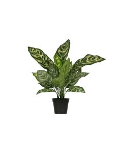 Aglaonema kunstplant groen 50cm (S-model)