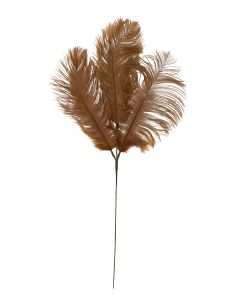 Ornament 3 veren 30x59 cm karamel