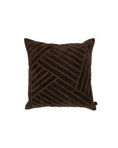 Plant Paars Groen willaag hangende tak