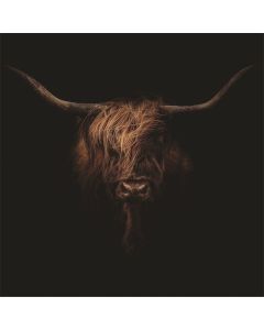 Alu Art Animal