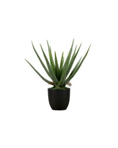Aloë vera kunstplant groen 55cm