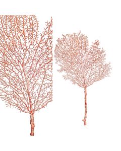 Siertak coral roze