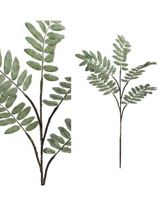 Siertak salix groen