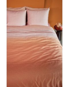 DBO Ingmar Terra 240x200/220cm
