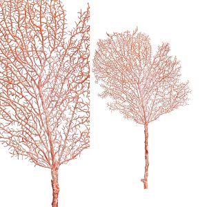 Siertak coral roze 